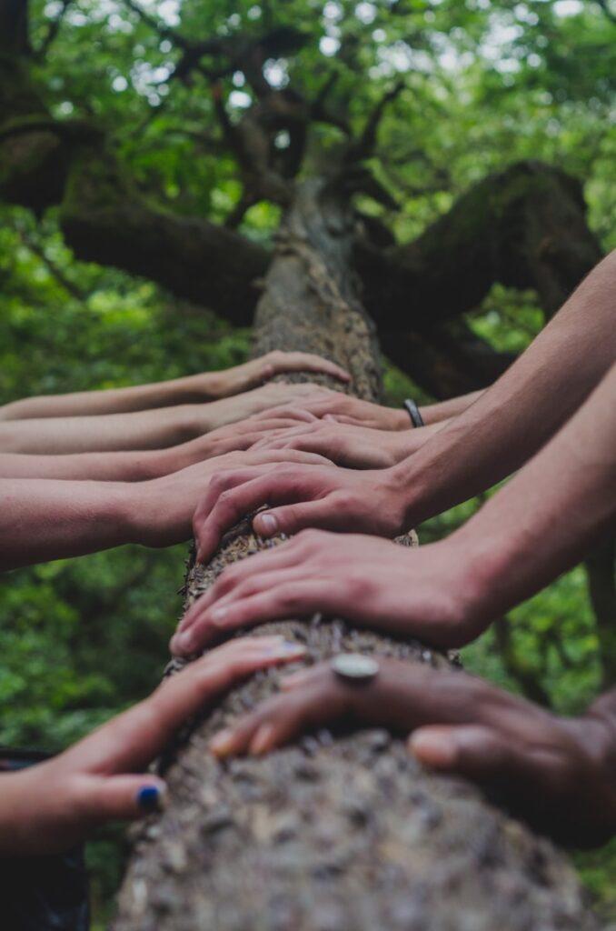 Mitarbeiterbindung - a group of people holding hands on top of a tree